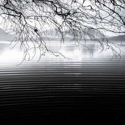 42982金牛网论坛